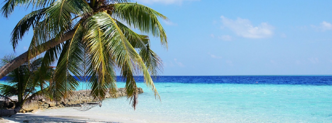 Image of Caribbean beach with palm trees and clear blue water
